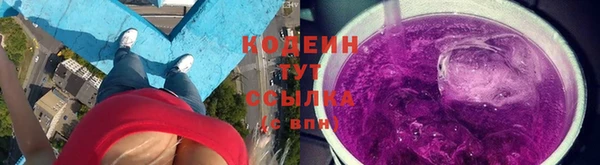 соль ск Тавда