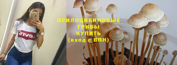 Альфа ПВП Балахна