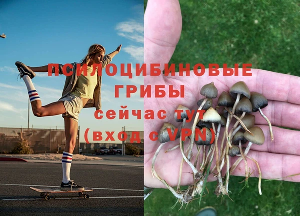 гашик Баксан