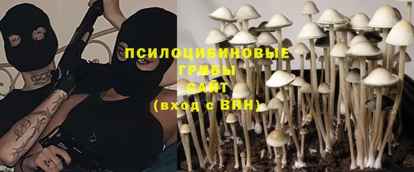 гашик Баксан