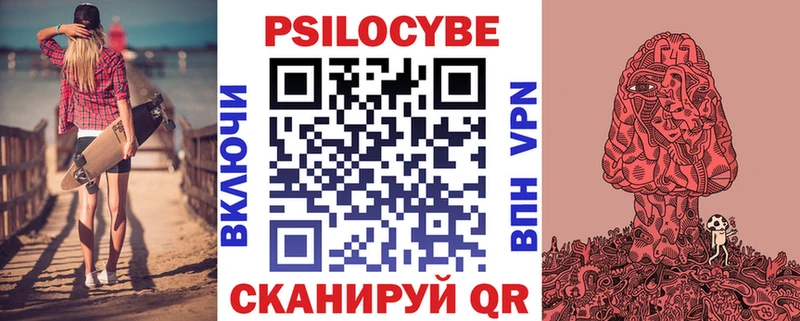 купить  цена  Беломорск  Псилоцибиновые грибы Cubensis 