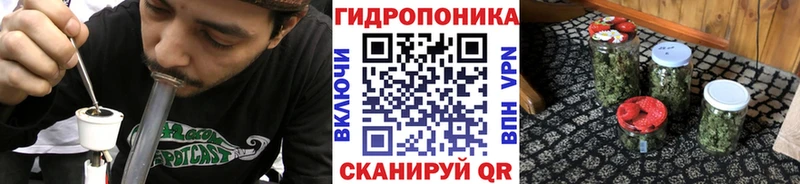 где продают   Беломорск  площадка официальный сайт  Каннабис индика 